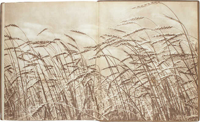 Зерновое хозяйство. [Фотоальбом] / Сост. А.Е. Иванов, Г.Д. Каплан, Е.А. Коган, Е.И. Ляшенко; худож. оформ. Н.А. Шишловского. М.: ОГИЗ «Сельхозгиз», 1940.